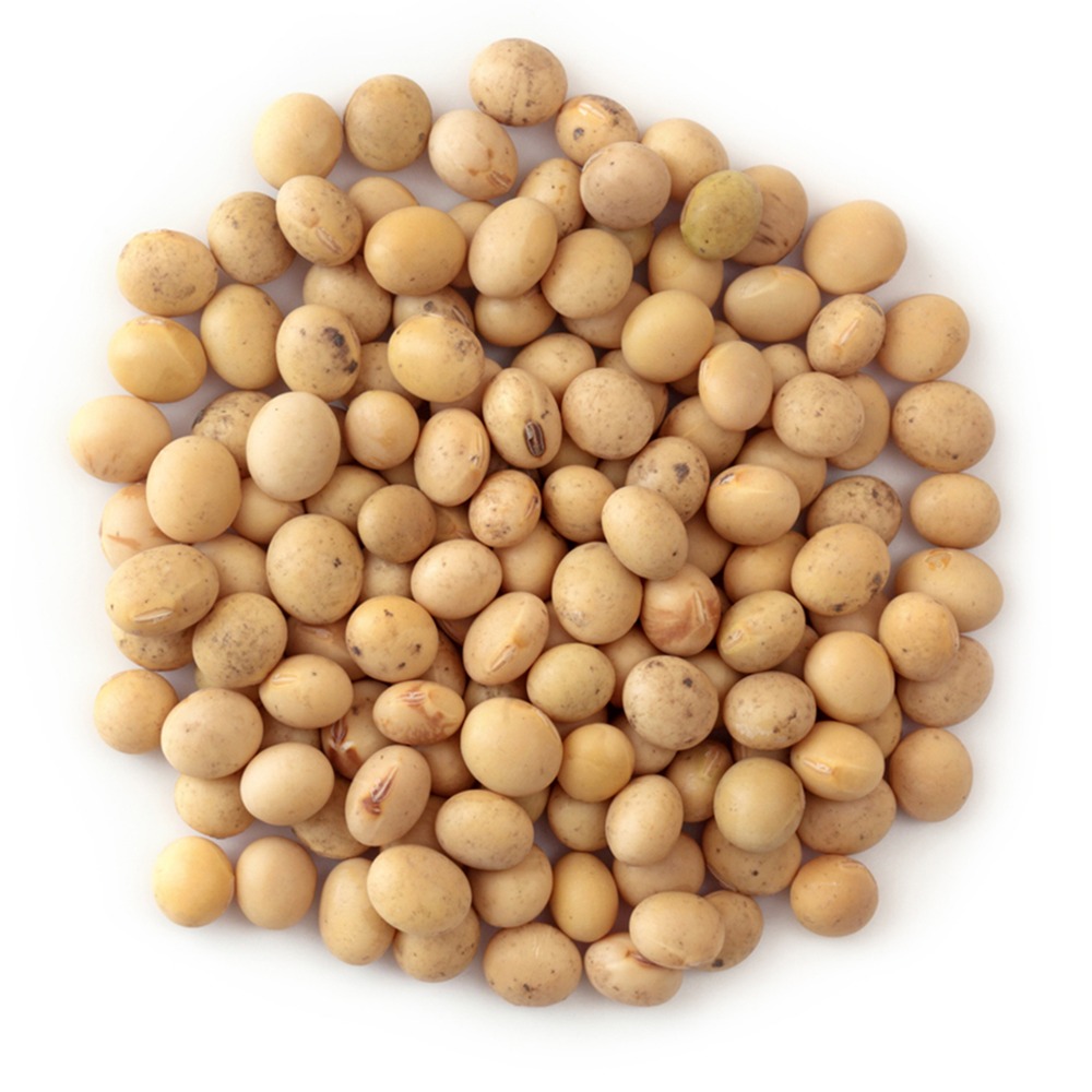 Soybean Seed
